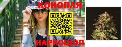гашик Кимры