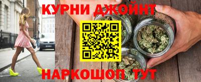 гашик Кимры