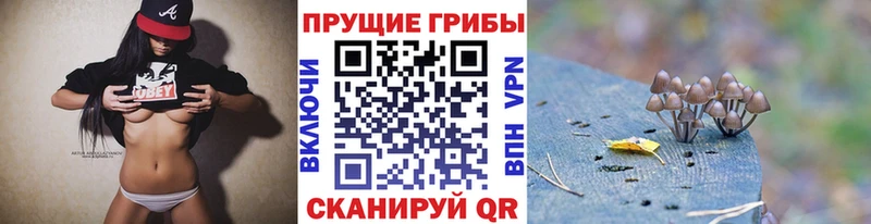 Псилоцибиновые грибы Magic Shrooms где продают Кузнецк